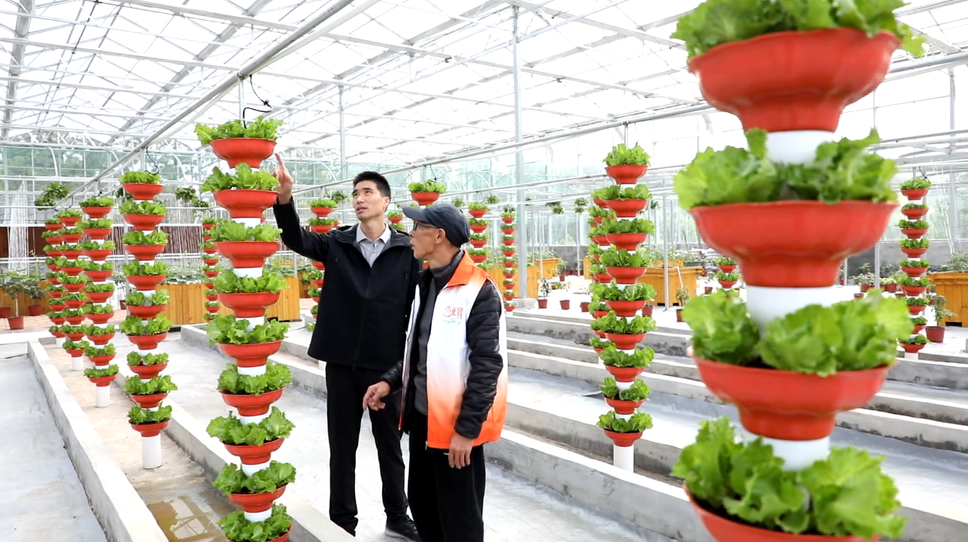 CA88(中国区)有限公司 - 官方网站